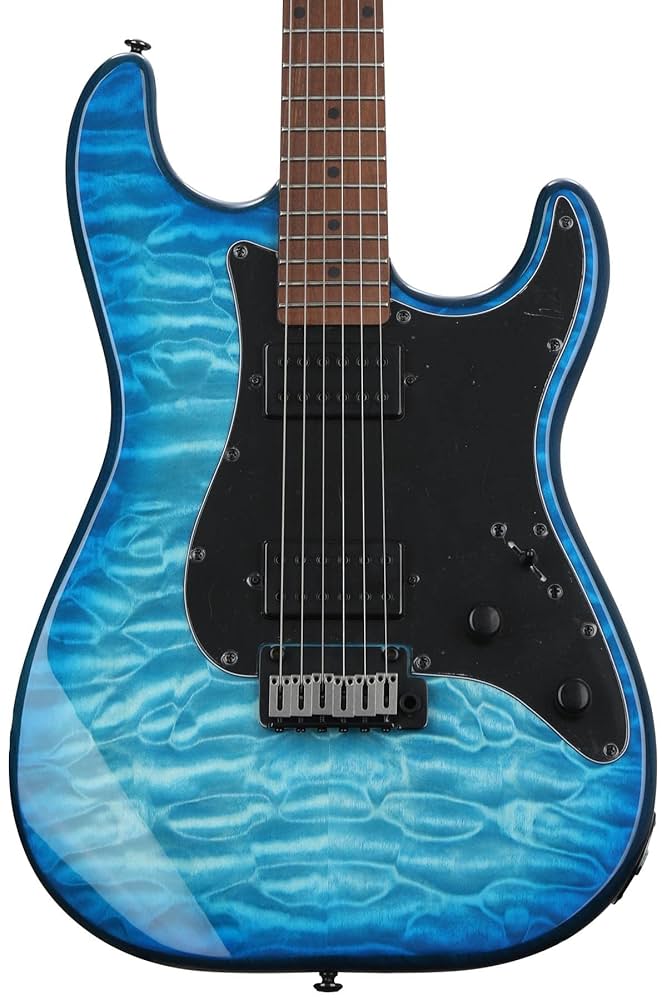 Amazon.com: Schecter Traditional Pro Electric Guitar - Satin
